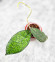 Hoya Clemensiorum Aceh Oval Big Leaf  