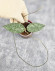 Hoya Caudata Silver    